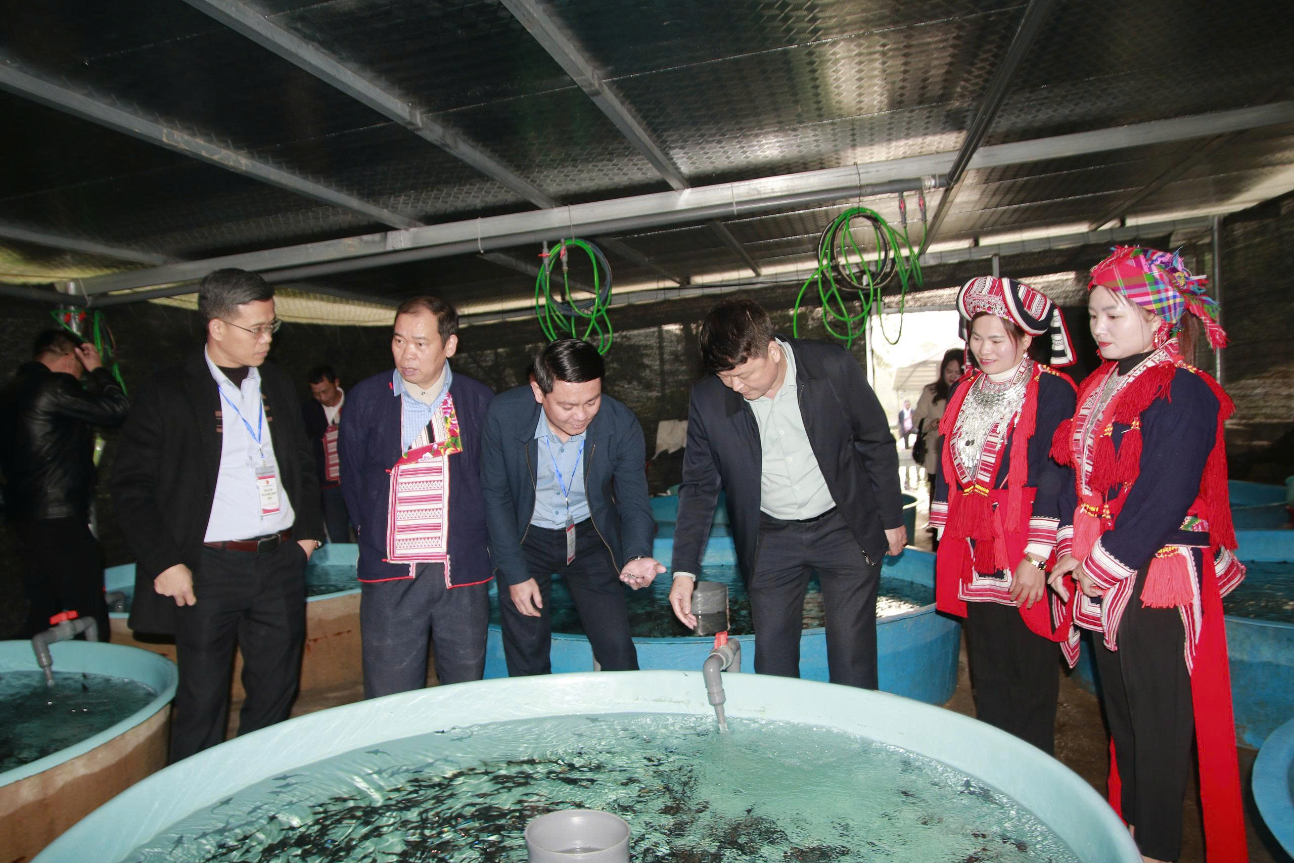 Triệu Tràn Loàng - Lan tỏa mô hình nuôi cá nước lạnh ở Nậm An