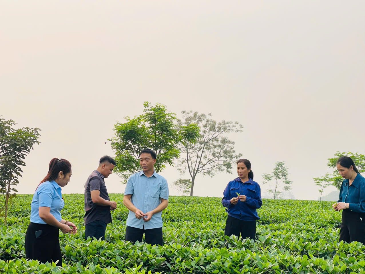 Phát triển các mô hình kinh tế tiêu biểu trên địa bàn xã Nhữ Khê