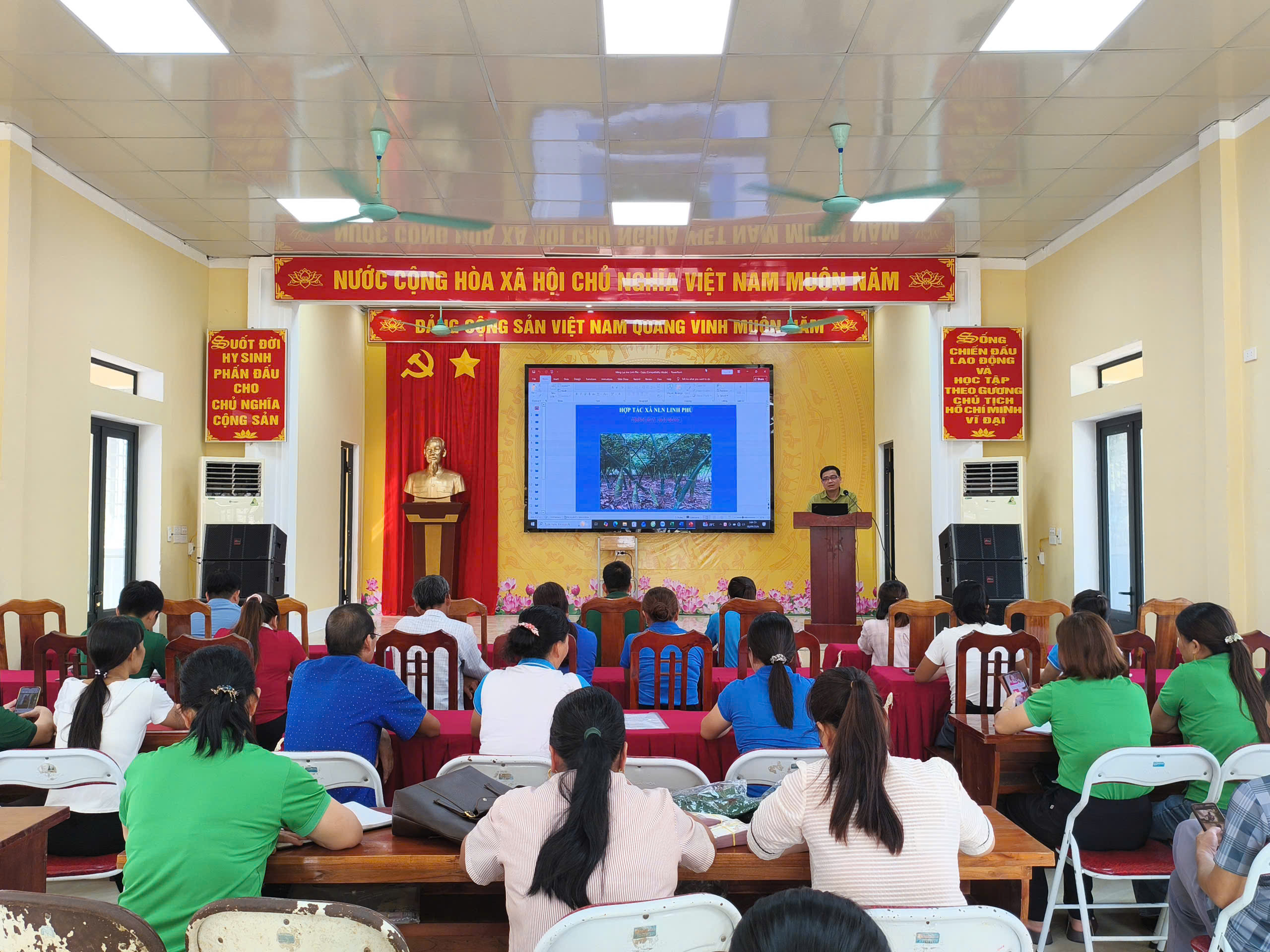 TÂN MỸ: TẬP HUẤN KỸ THUẬT TRỒNG MĂNG LỤC TRÚC VÀ TRIỂN KHAI THÀNH LẬP TỔ HỘI NGHỀ NGHIỆP