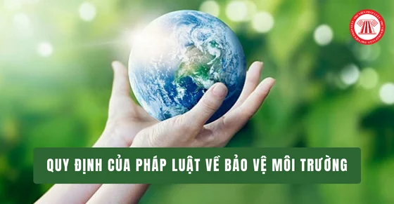 Các chính sách của Nhà nước về bảo vệ môi trường