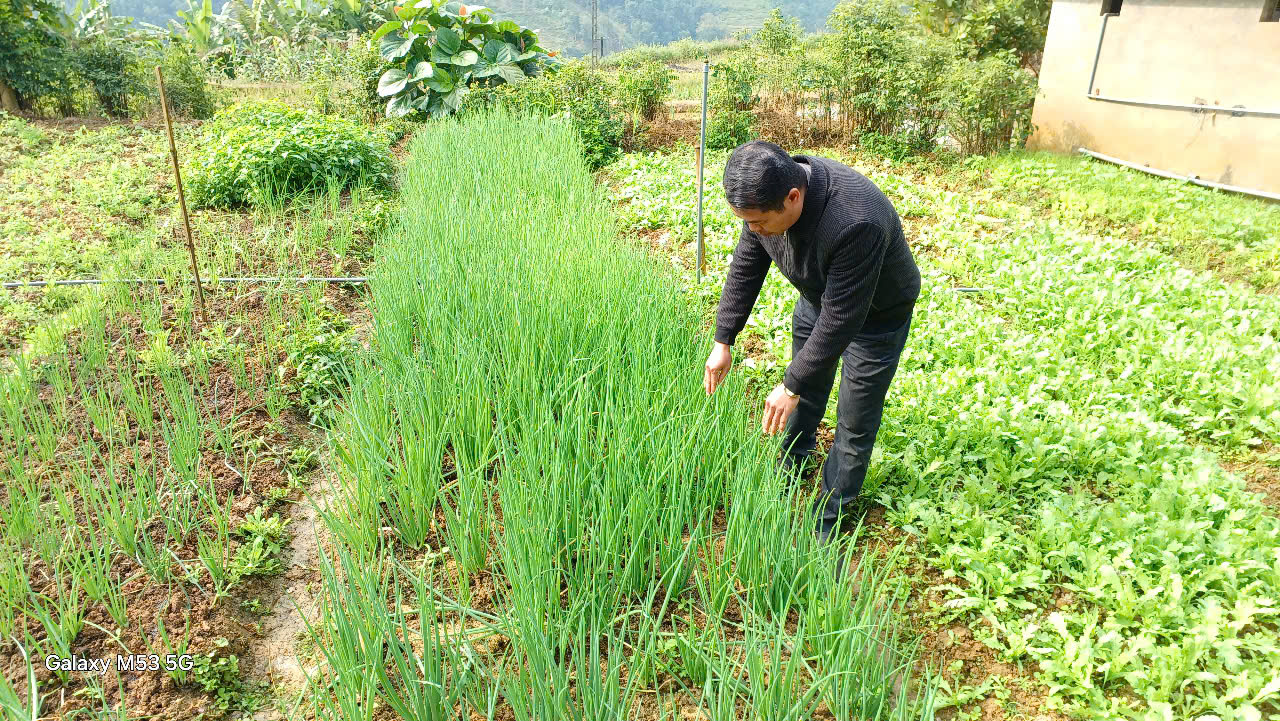 Nâng cao hiệu quả tín dụng chính sách xã hội tại xã Tát Ngà