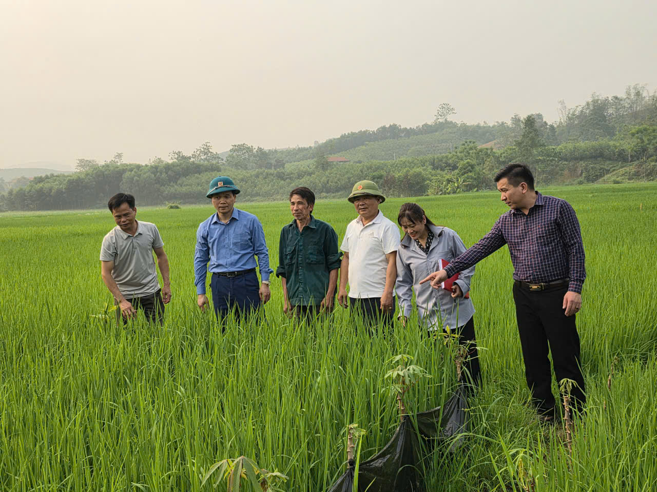  Ngày 09/4/2026, Bí thư Đảng uỷ xã Đông Thọ cùng vời cán bộ Mặt trận Tổ Quốc, cán bộ Trung tâm Dịch vụ công xã Đông Thọ đi kiểm tra thực tế tình hình sản xuất vụ xuân 2026;