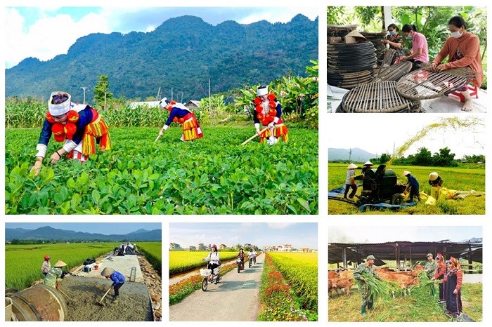 Tuyên Quang triển khai thực hiện Nghị định số 272/2025/NĐ-CP  ngày 16/10/2025 của Chính phủ