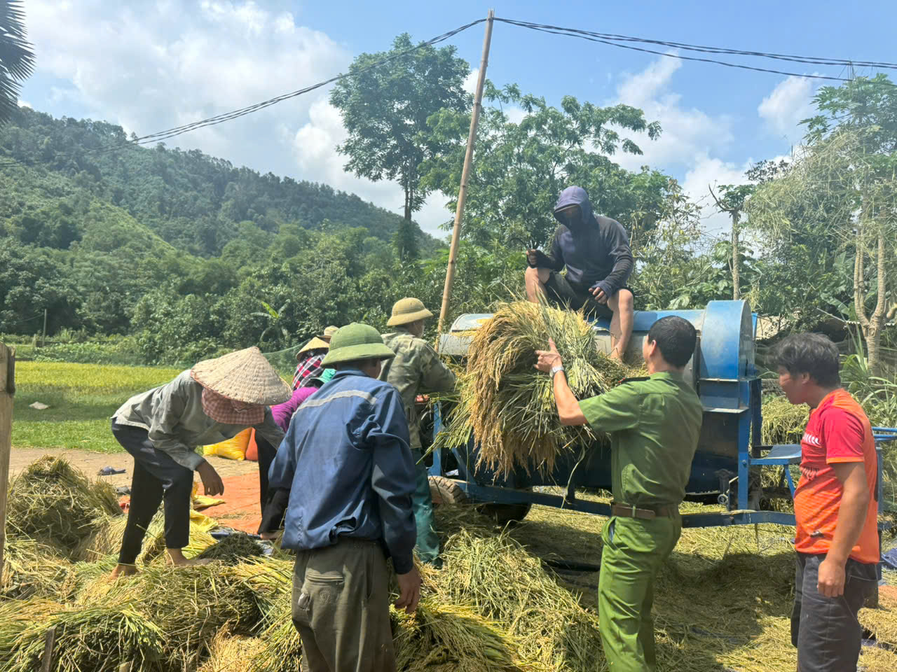 CÔNG AN XÃ ĐỒNG TÂM GIÚP NHÂN DÂN THU HOẠCH HOA MÀU TRƯỚC MÙA MƯA BÃO