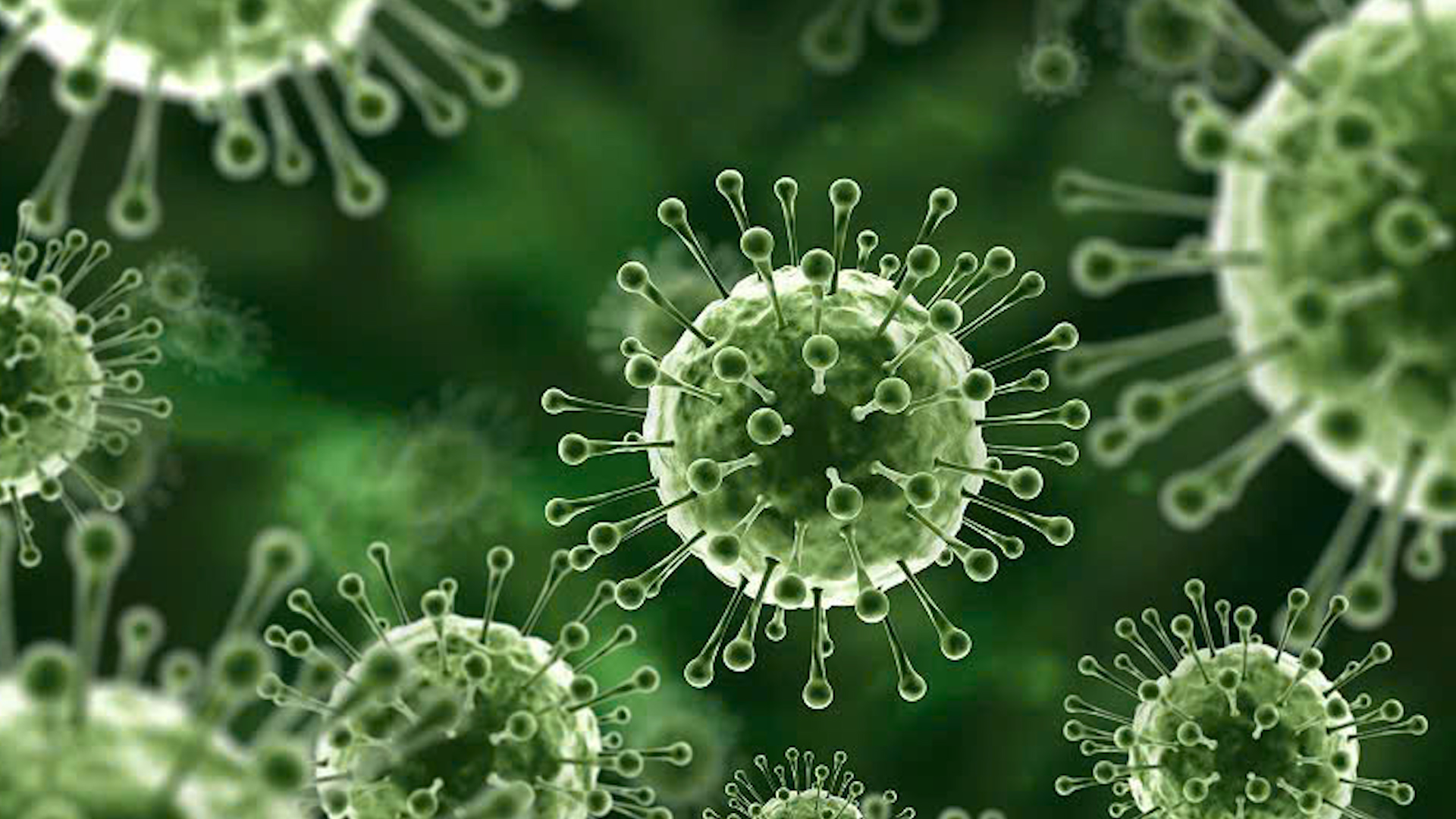 PHÒNG, CHỐNG BỆNH DO VI RÚT NIPAH TRÊN ĐỊA BÀN XÃ BẢN MÁY