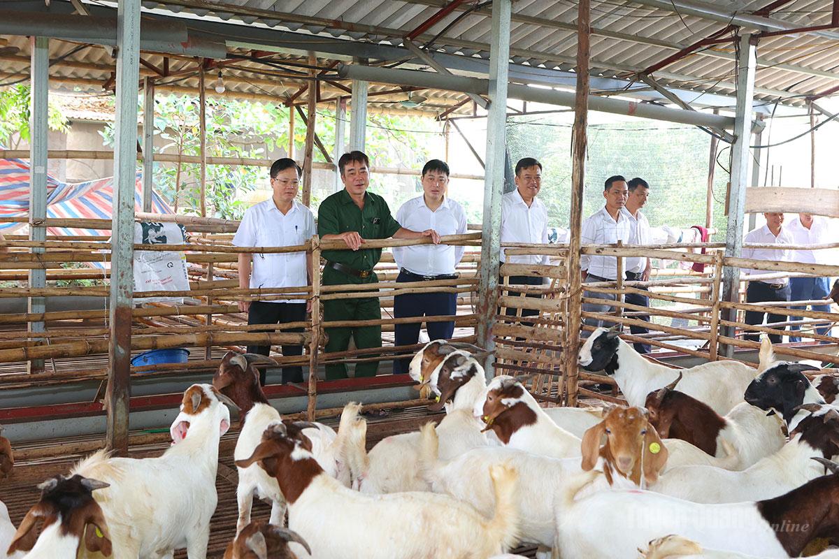 Quyết tâm hoàn thành thắng lợi các mục tiêu, nhiệm vụ quý IV