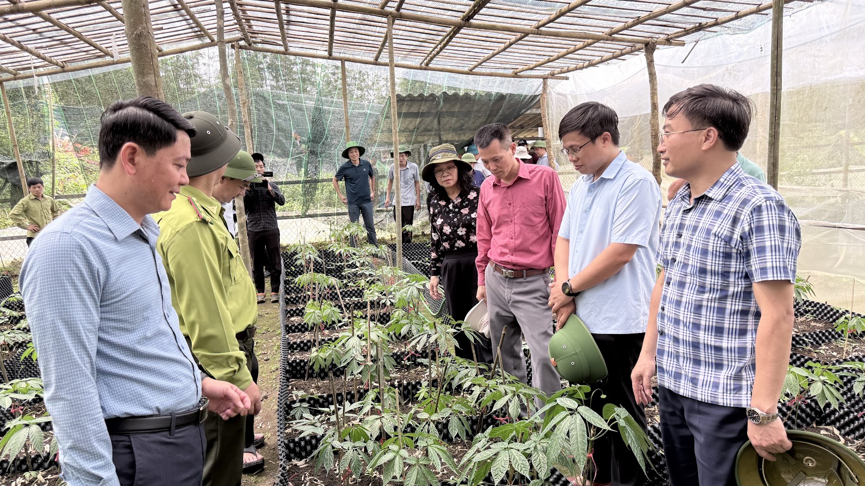 Tân Quang khơi dậy tiềm năng, tạo động lực phát triển kinh tế bền vững