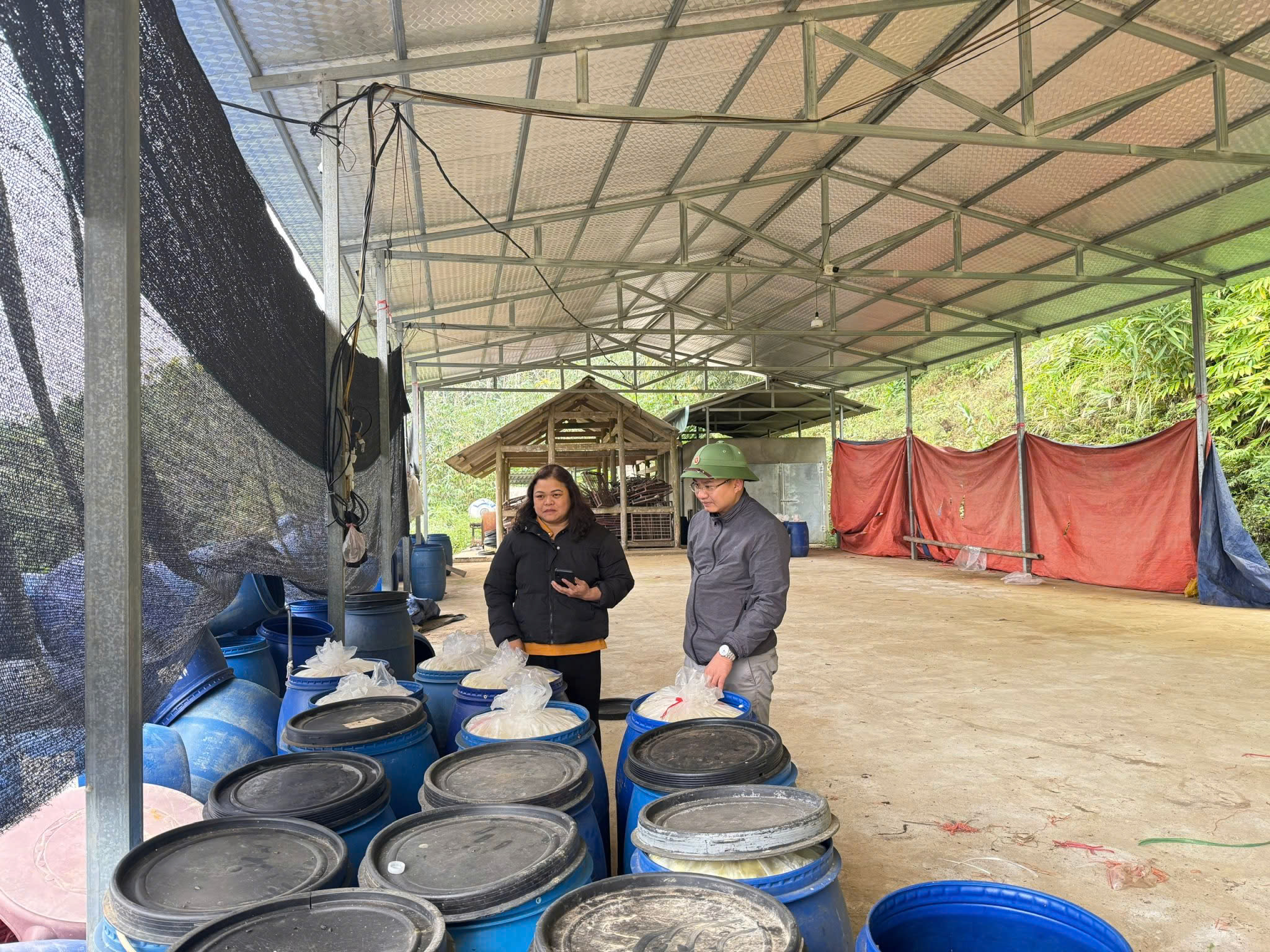 PHÓ CHỦ TỊCH UBND XÃ TIÊN YÊN KIỂM TRA, NẮM BẮT TÌNH HÌNH SẢN XUẤT NÔNG – LÂM NGHIỆP VÀ ĐỜI SỐNG NHÂN DÂN TRÊN ĐỊA BÀN XÃ