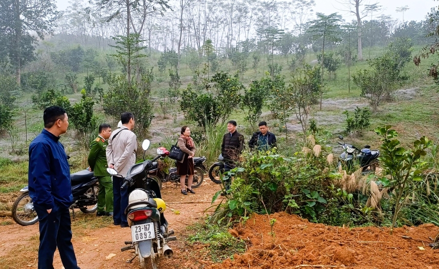 Bí thư Đảng ủy xã Đồng Yên khảo sát vườn cam già cỗi, định hướng chuyển đổi sản xuất nông nghiệp bền vững