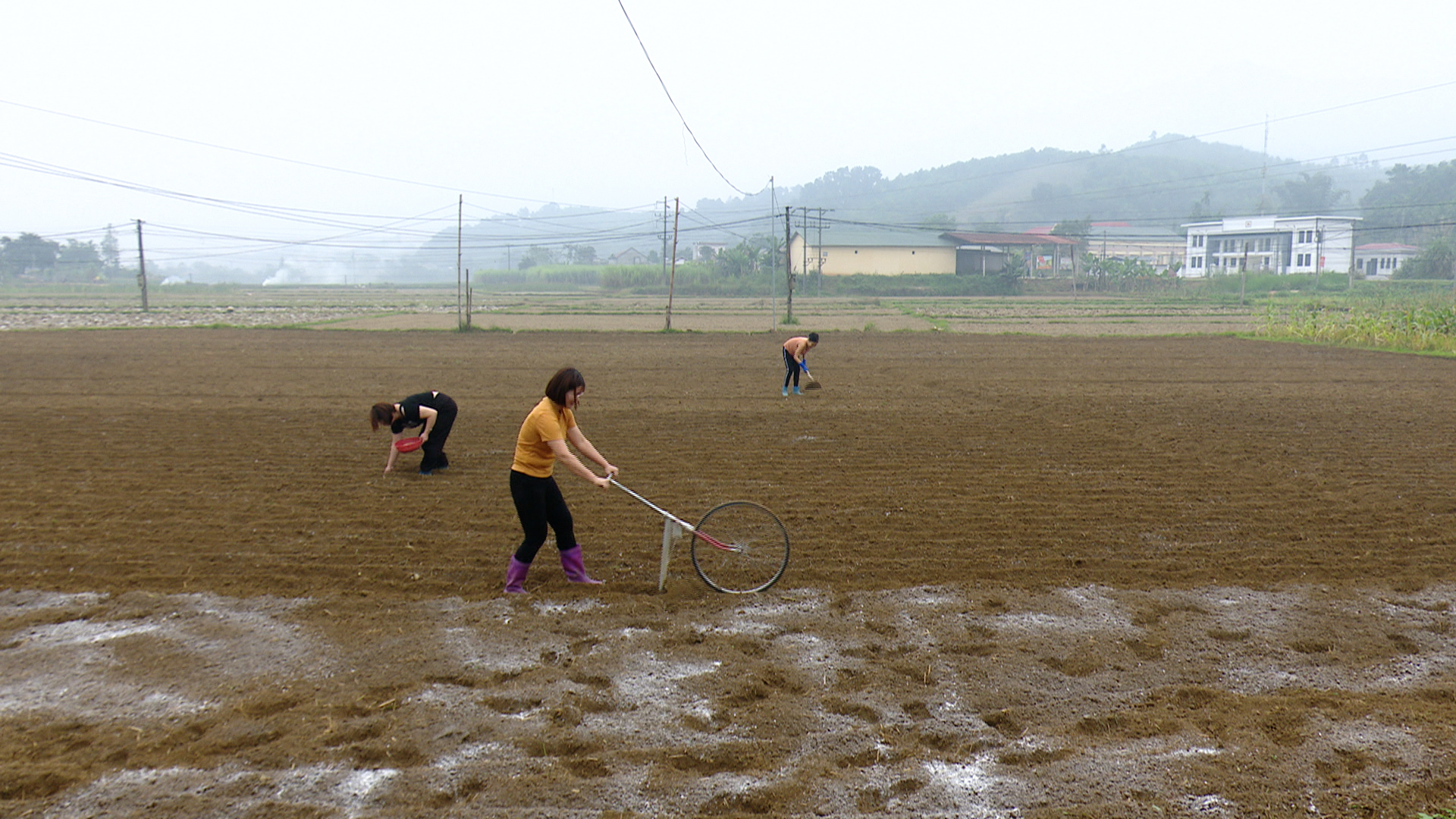 Xã Minh Quang thi đua lao động sản xuất chào mừng Đại hội đại biểu toàn quốc lần thứ XIV của Đảng