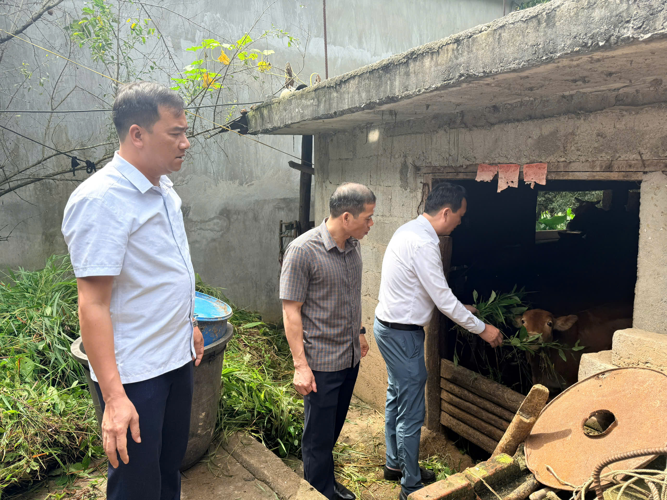 ĐOÀN CÔNG TÁC KIỂM TRA MÔ HÌNH PHÁT TRIỂN KINH TẾ, KHẢO SÁT DU LỊCH TẠI XÃ LŨNG CÚ