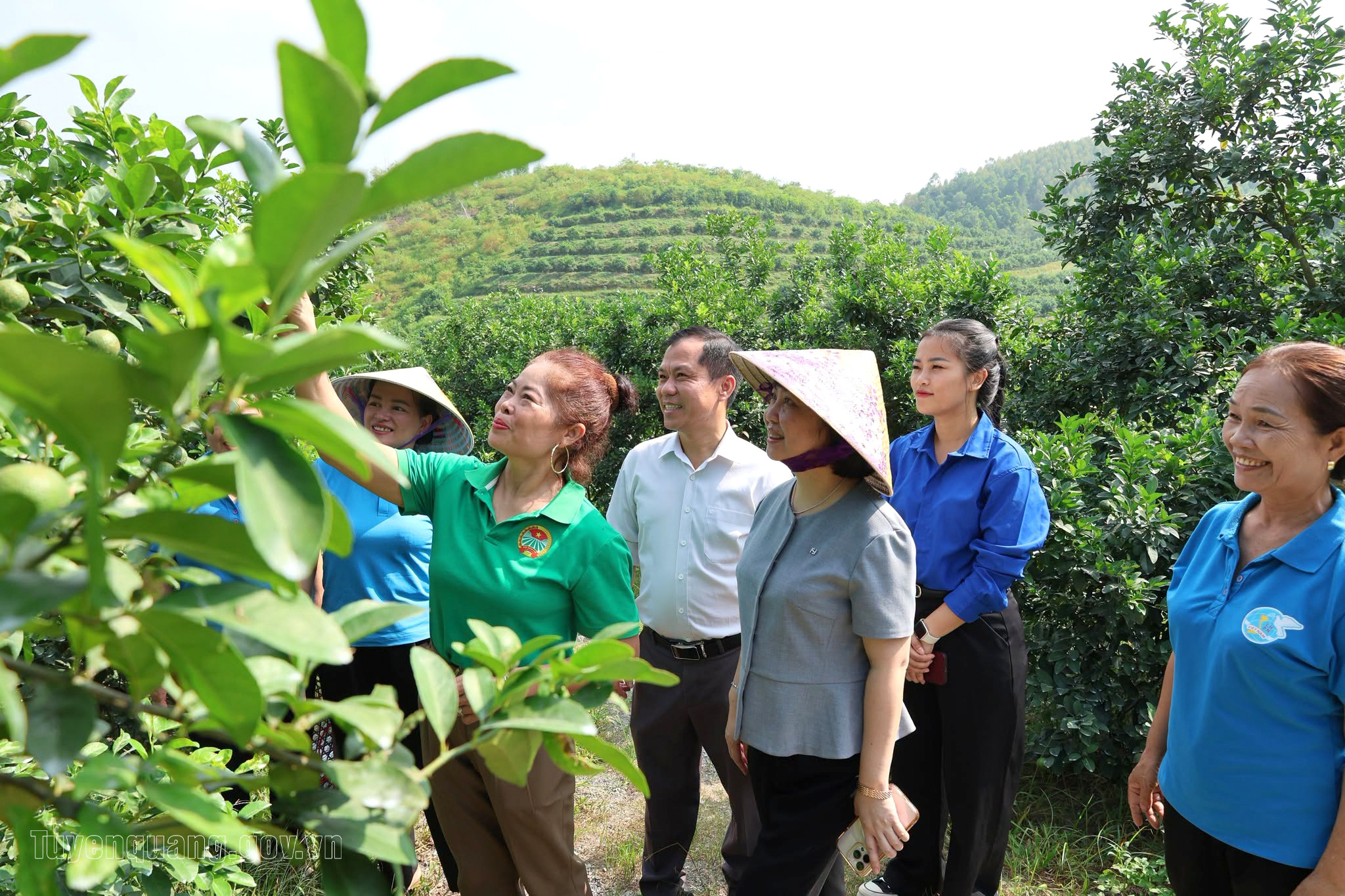Tuyên Quang: Ổn định tổ chức đảng, nâng cao hiệu quả hoạt động ở khu dân cư