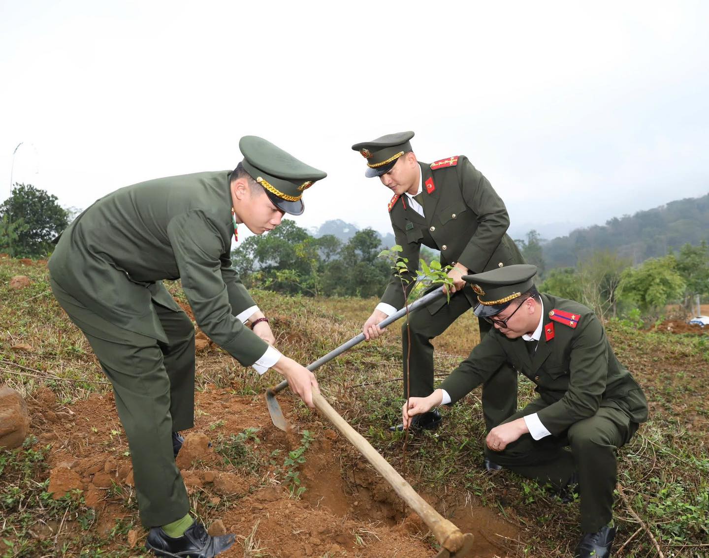 MÙA XUÂN TRỒNG CÂY THEO LỜI BÁC HỒ DẠY