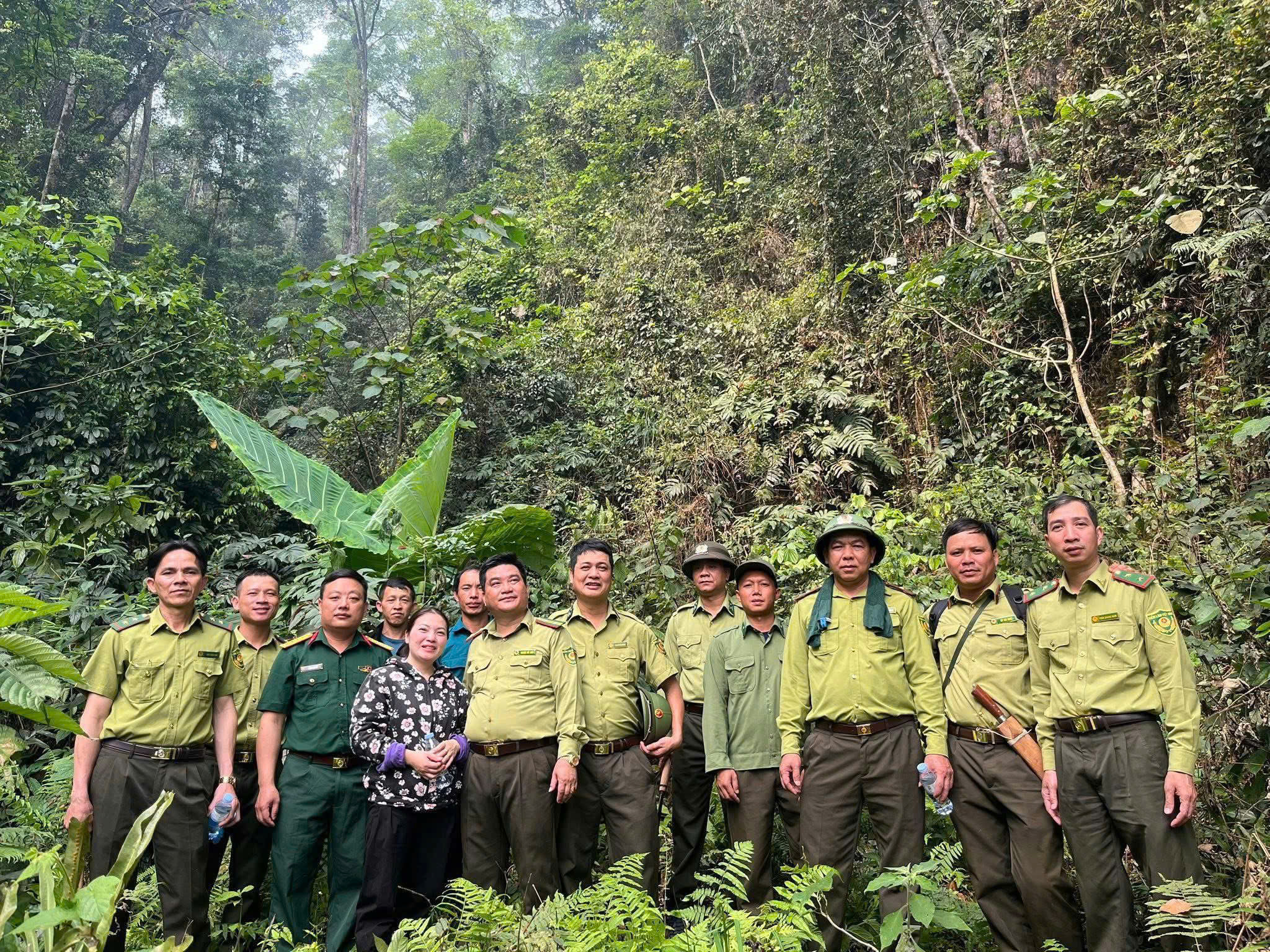 Tăng cường kiểm tra, chủ động phòng cháy, chữa cháy rừng trong cao điểm mùa khô năm 2026