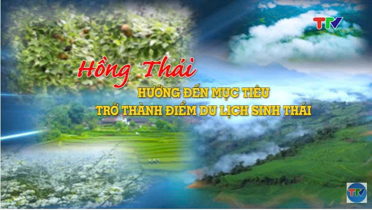 554052ee5f90ba29f921aa5d3ee0fc0d