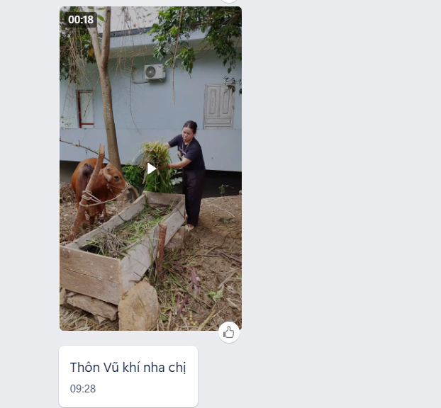 th&ecirc;m tin 5+ (3).png
