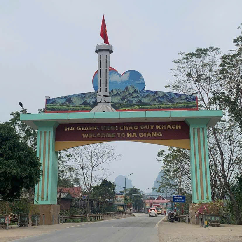 0c62d18cc40fcdc8b761c2975ea0efe3