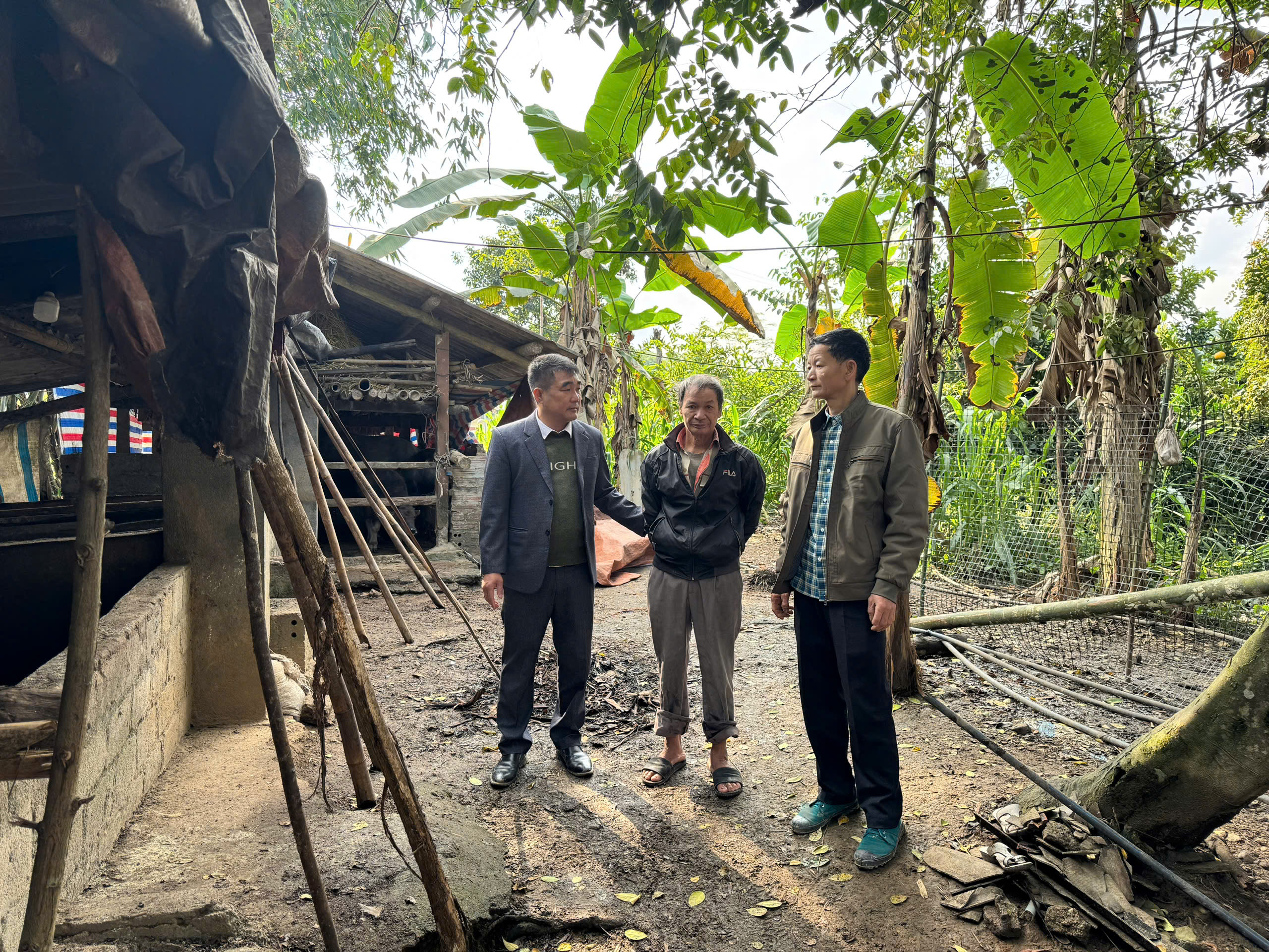 Lãnh đạo UBND xã Quang Bình kiểm tra công tác phòng, chống rét cho gia súc