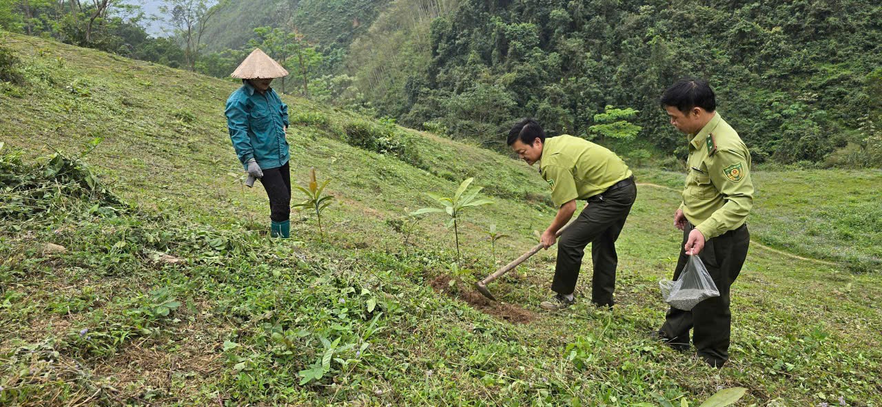 Tuyên Quang: Hạt Kiểm lâm Khu vực IV bảo vệ, phòng cháy chữa cháy rừng