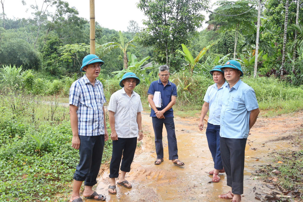 Khảo sát2.jpg