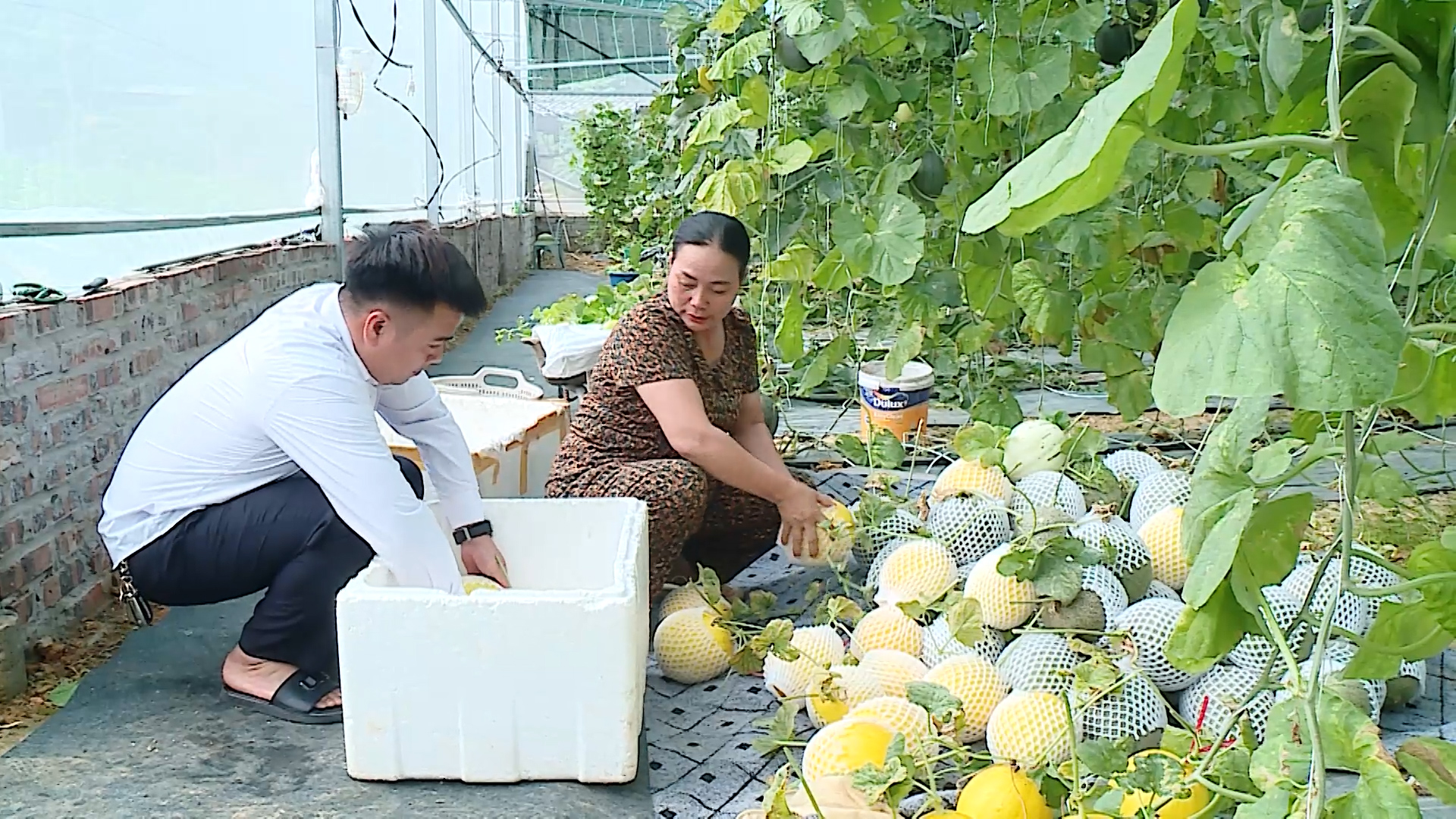 Hướng dẫn nộp trực tuyến hồ sơ đề nghị hưởng trợ cấp hưu tr&iacute; x&atilde; hội cho ngươi 75 tuổi dễ l&agrave;m.00_14_50_18.Still016.jpg
