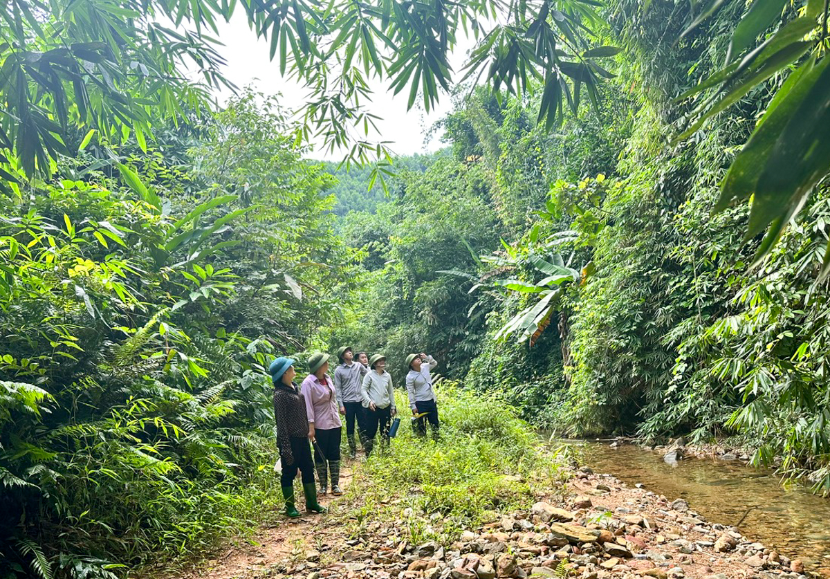 Hàm Yên tăng cường tuần tra, kiểm tra, bảo vệ rừng