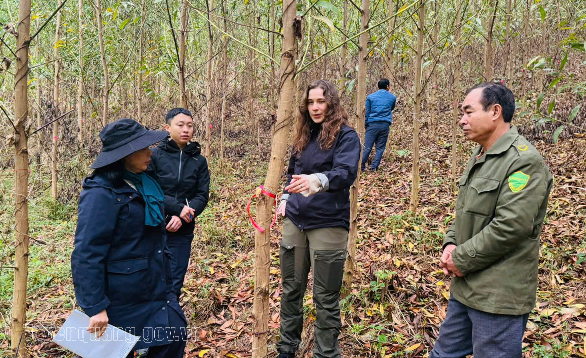 Tuyên Quang: Xây dựng hệ thống truy xuất nguồn gốc, tạo lợi thế cạnh tranh trong bối cảnh hội nhập