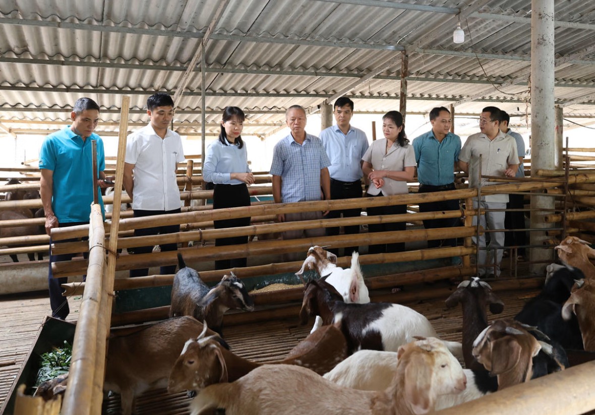 Tuyên Quang: Khơi dậy nội lực, kiến tạo diện mạo mới ở Yên Sơn