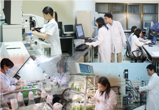 11 nhóm vị trí công tác lĩnh vực khoa học, công nghệ tại chính quyền địa phương phải định kỳ chuyển đổi