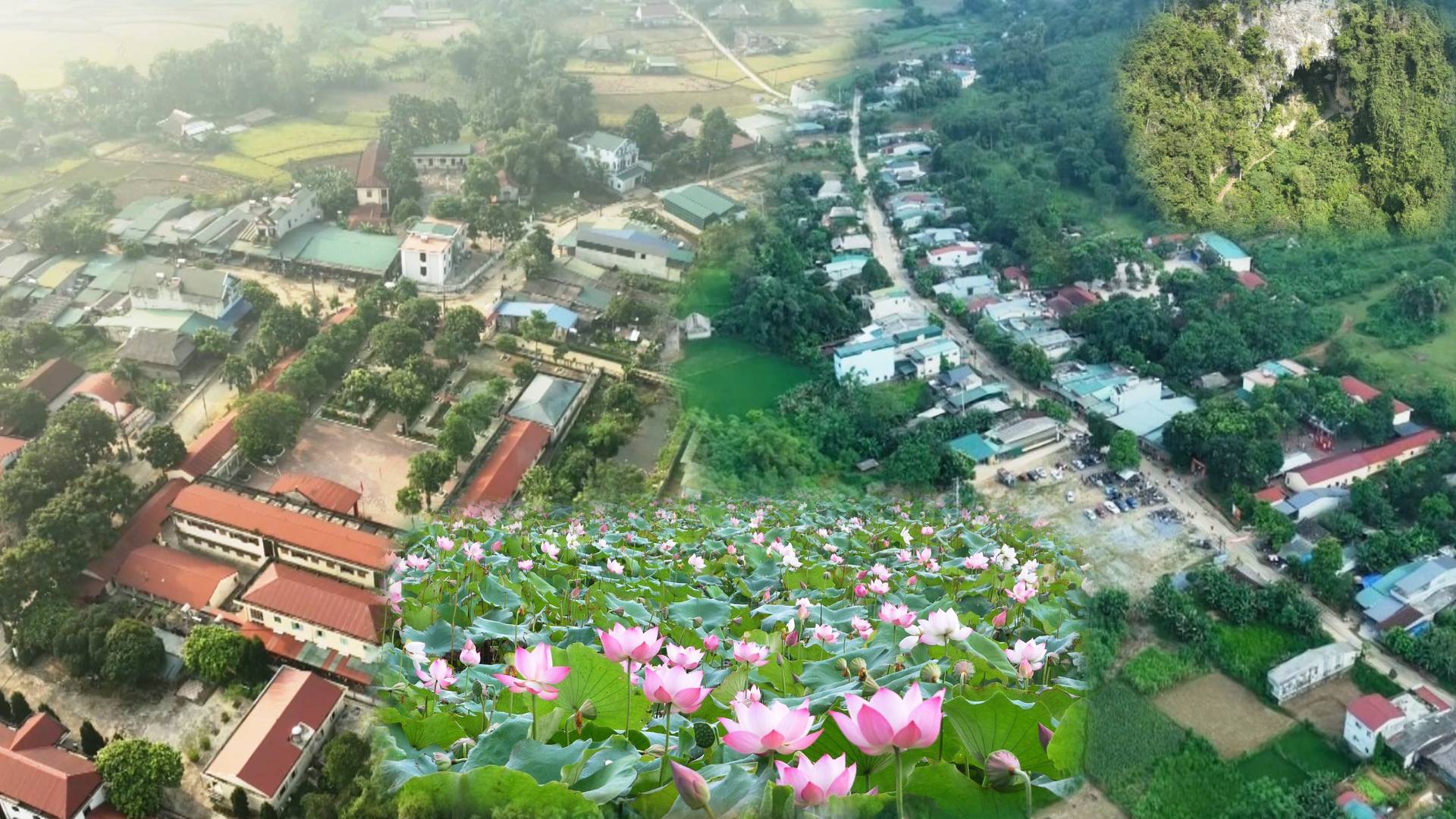 GIỚI THIỆU CHUNG XÃ BẠCH NGỌC