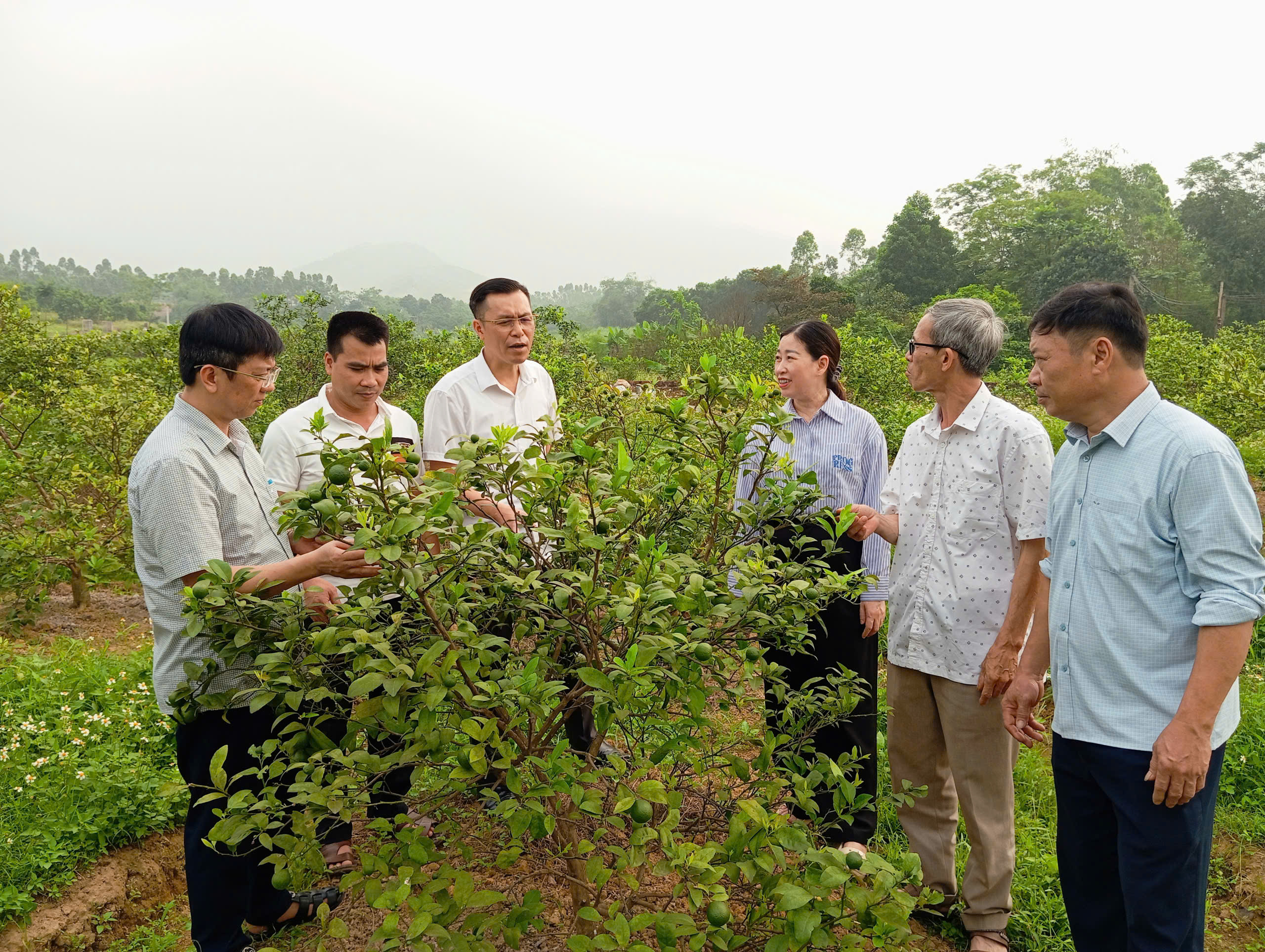 Chủ tịch Ủy ban nhân dân xã Trường Sinh khảo sát các mô hình phát triển kinh tế đầu năm 2026 trên địa bàn xã