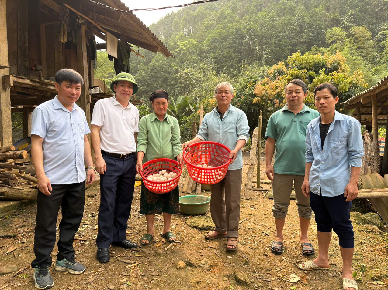 MÔ HÌNH KINH TẾ GIỎI NUÔI VỊT THẢ SUỐI