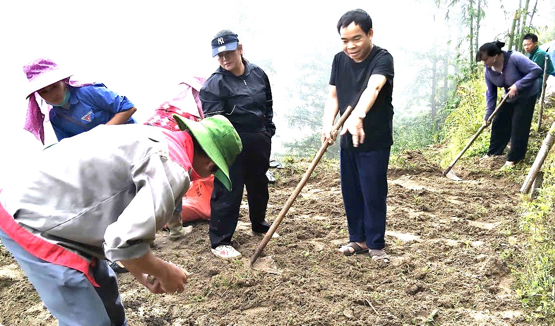 LAO CHẢI: KIỂM TRA TIẾN ĐỘ DỰ ÁN TRỒNG GỪNG TẠI THÔN BẢN PHÙNG