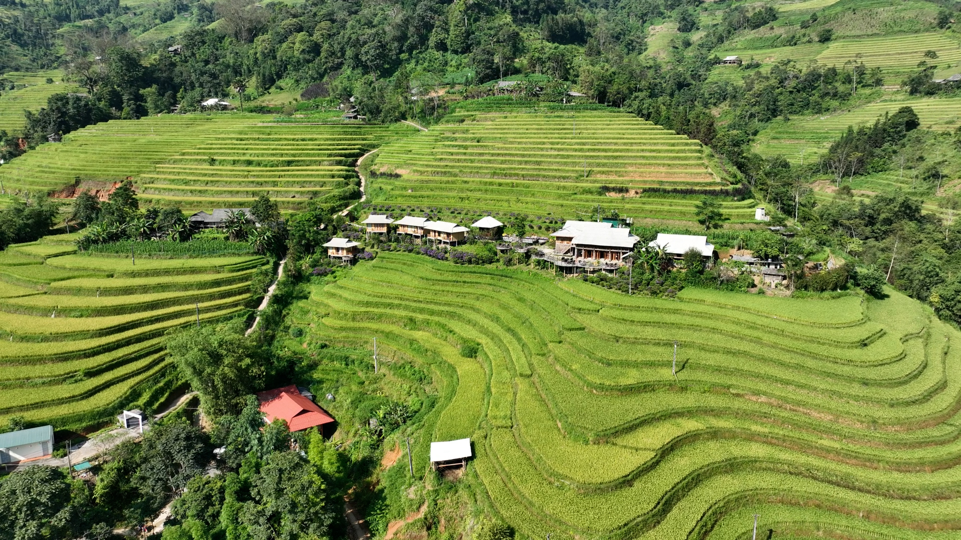 Ủy ban bầu cử xã Hoàng Su Phì Công bố tiểu sử tóm tắt của người ứng cử Đại biểu HĐND xã Hoàng Su Phì khóa II, nhiệm kỳ 2026 - 2031. Đơn vị bầu cử số 4 
