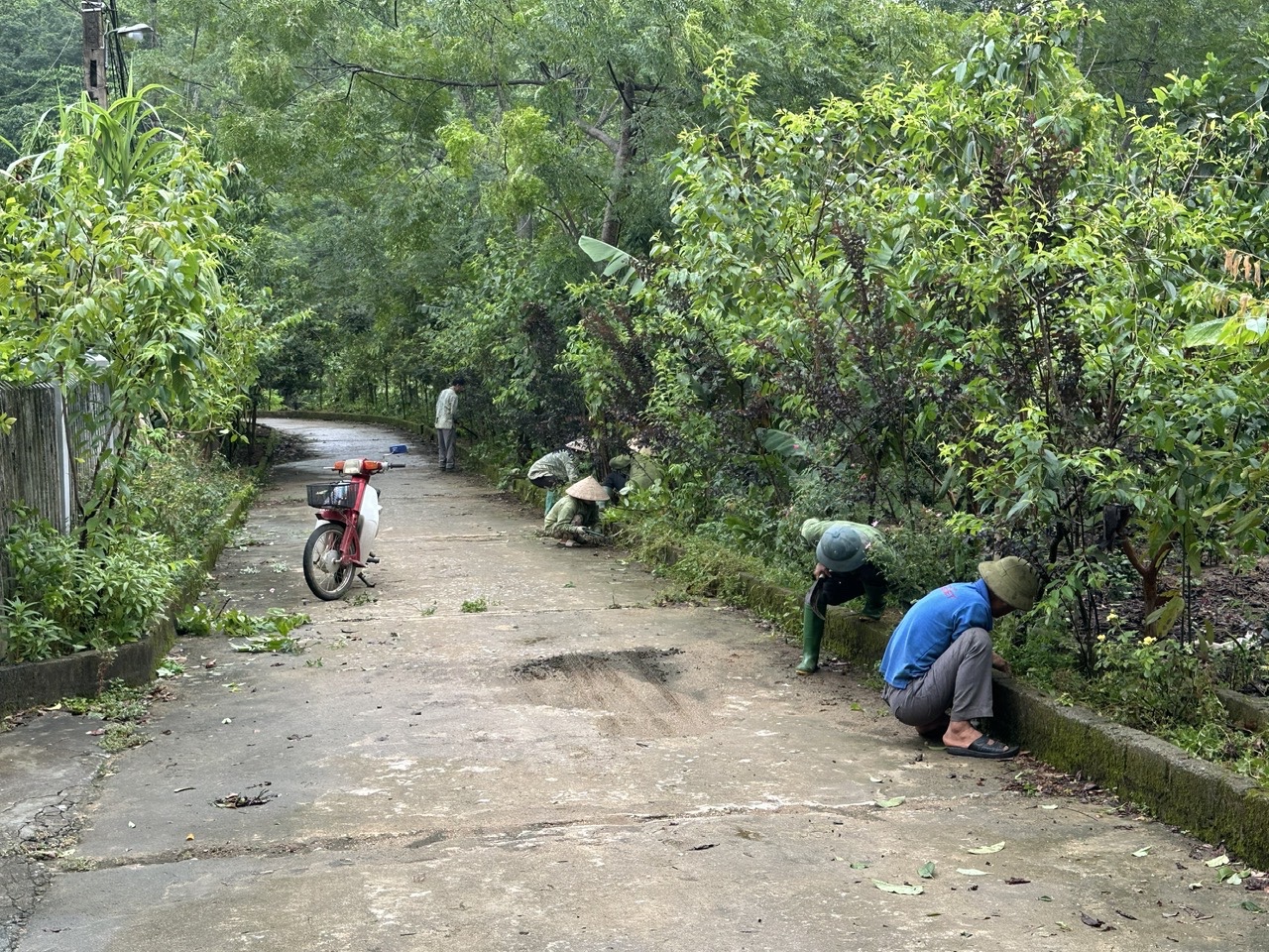 HPN vệ sinh1.jpg