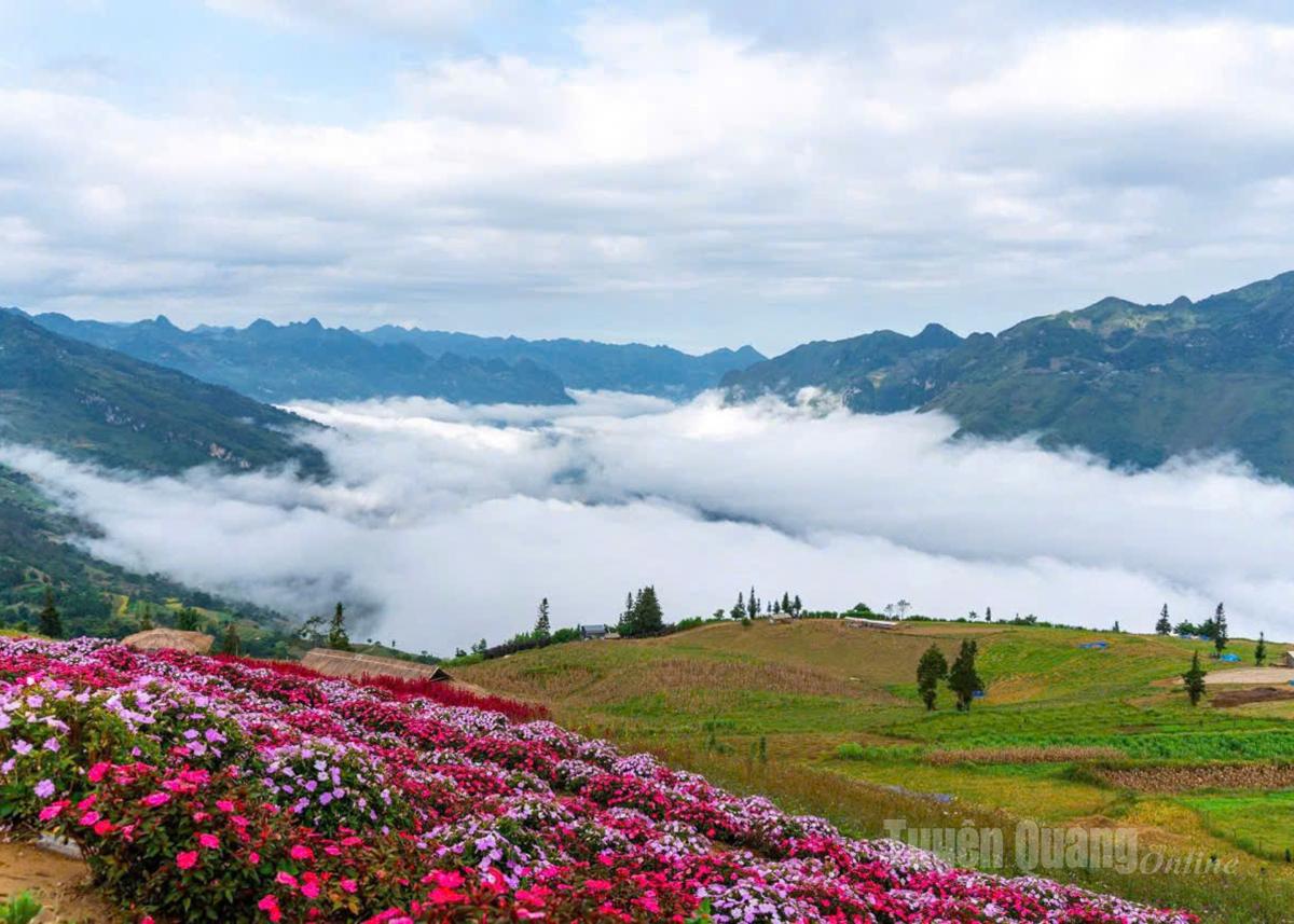 Những điểm du lịch hấp dẫn trong miền trải nghiệm