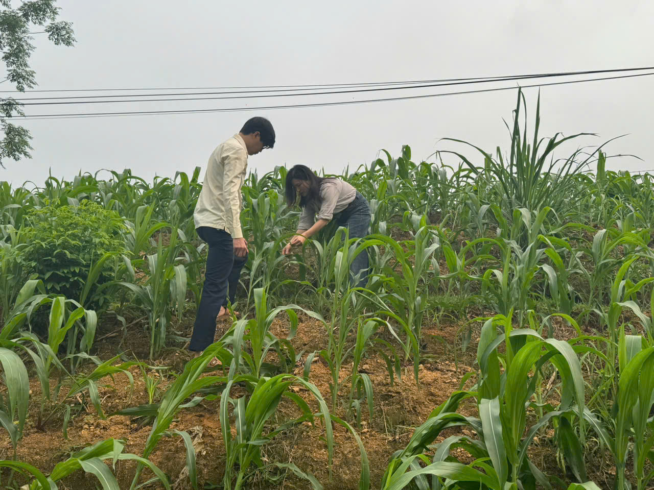 Ktra l&uacute;a,5.jpg