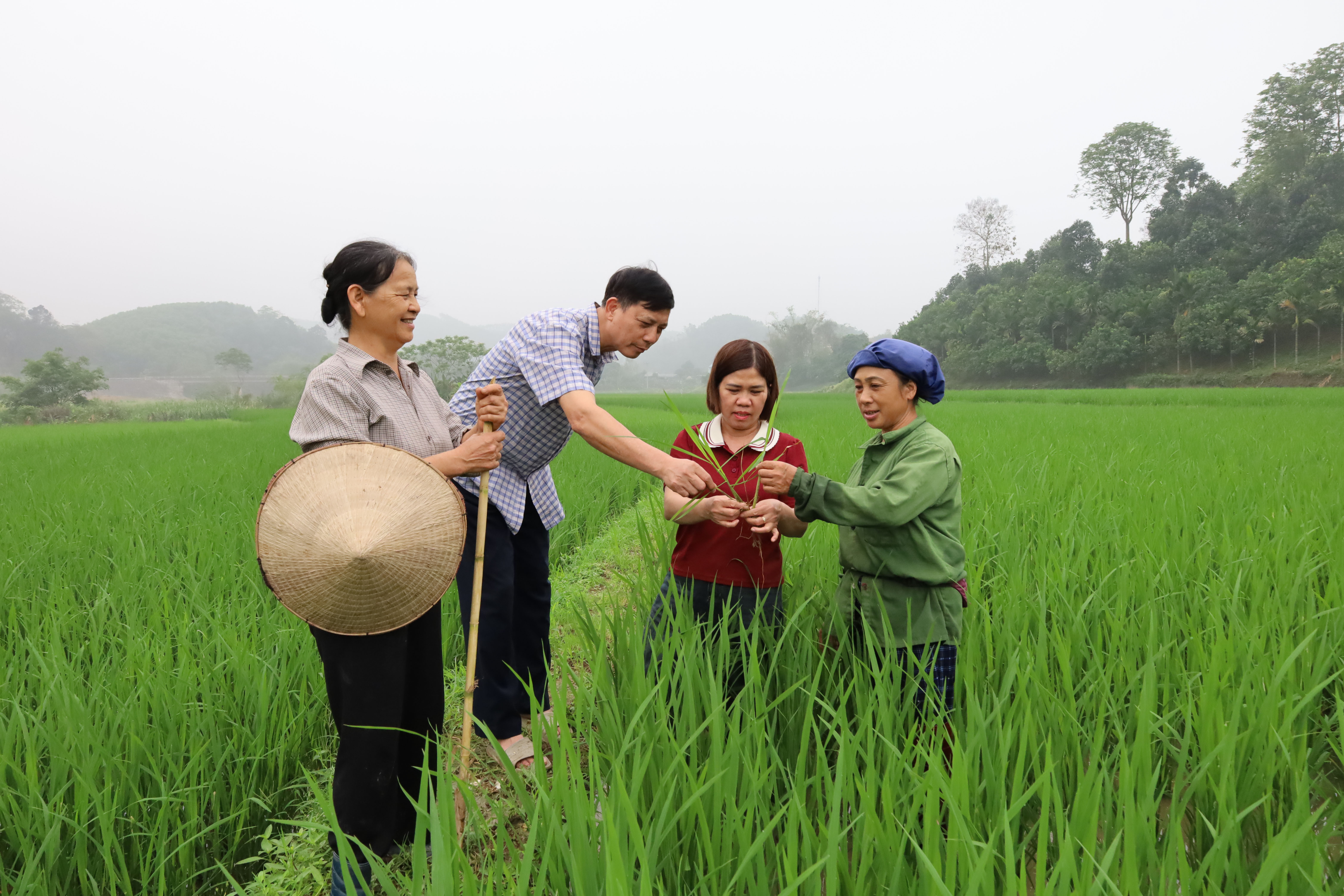 TRUNG TÂM DỊCH VỤ CÔNG  XÃ TÂN LONG KIỂM TRA, HƯỚNG DÂN CHĂM SÓC VỤ XUÂN NĂM 2026