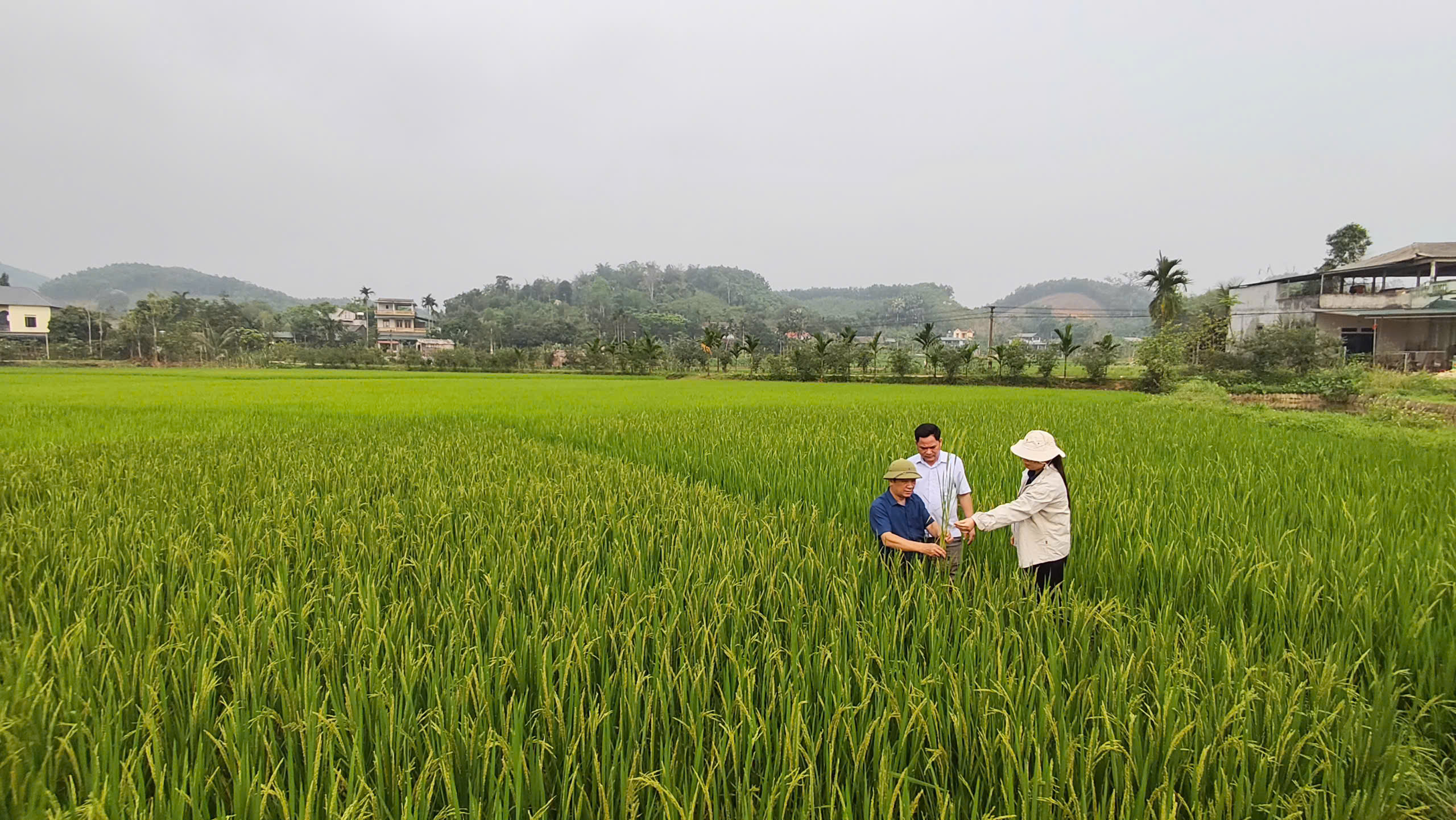 XÂY DỰNG VĂN HÓA NÔNG DÂN TRONG KỶ NGUYÊN MỚI