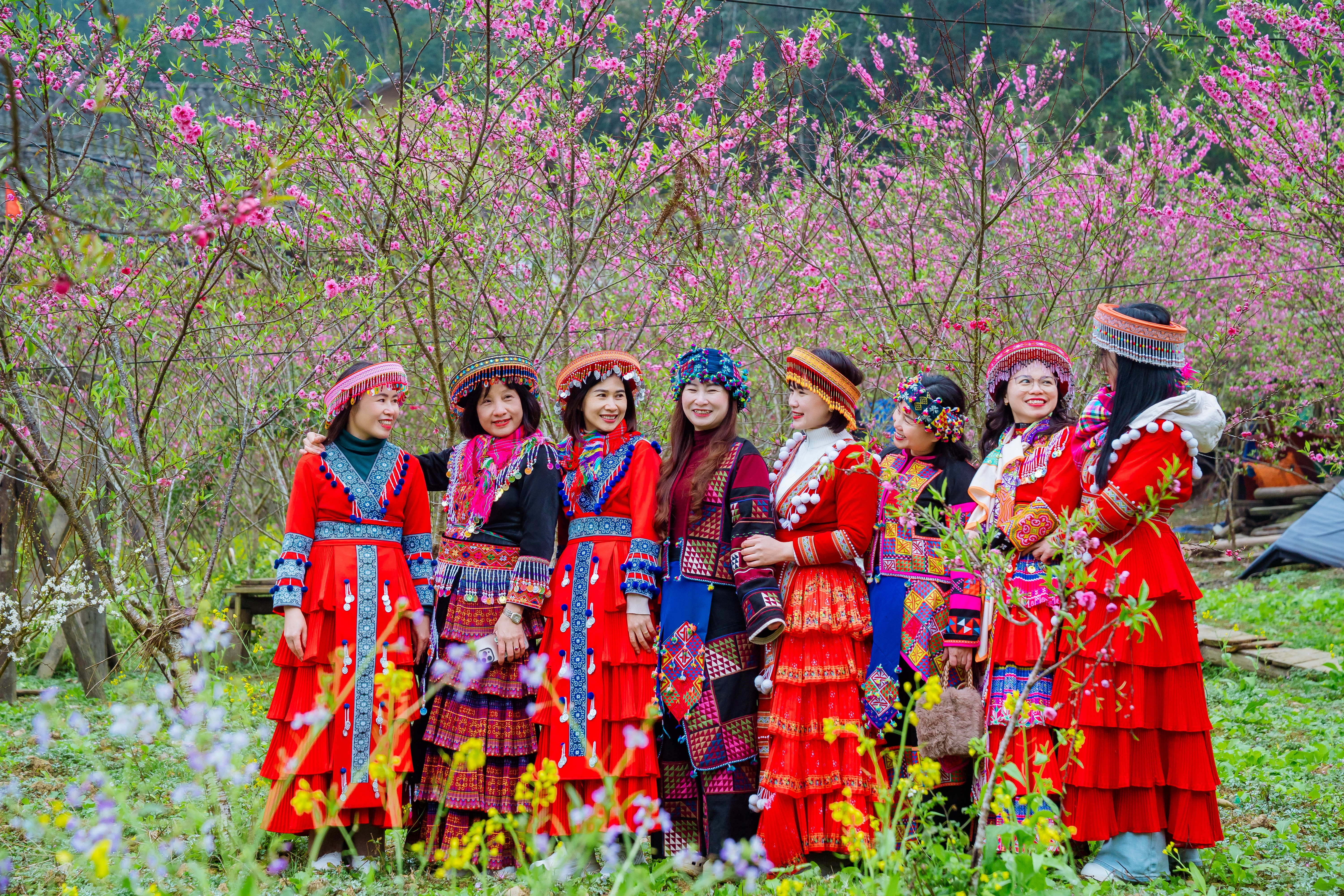 Mùa xuân về, Cao nguyên đá ngập tràn sắc hoa