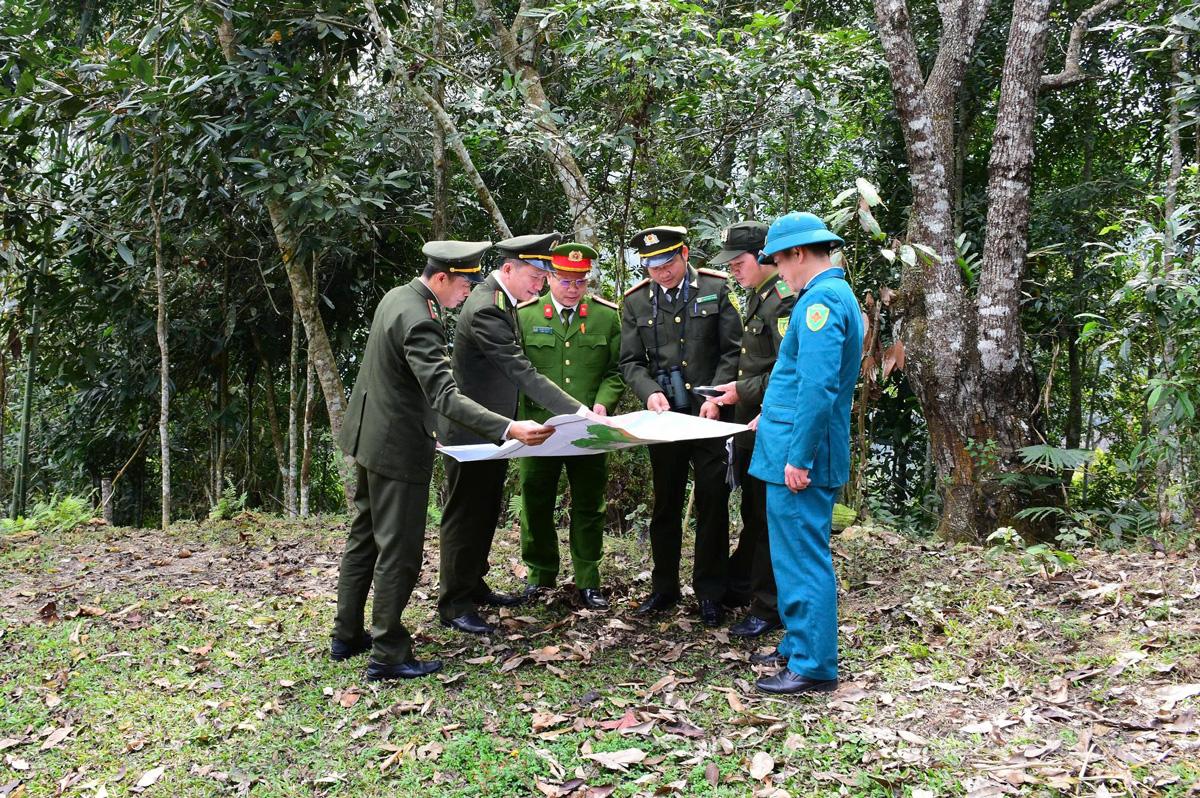 Giữ màu xanh đại ngàn