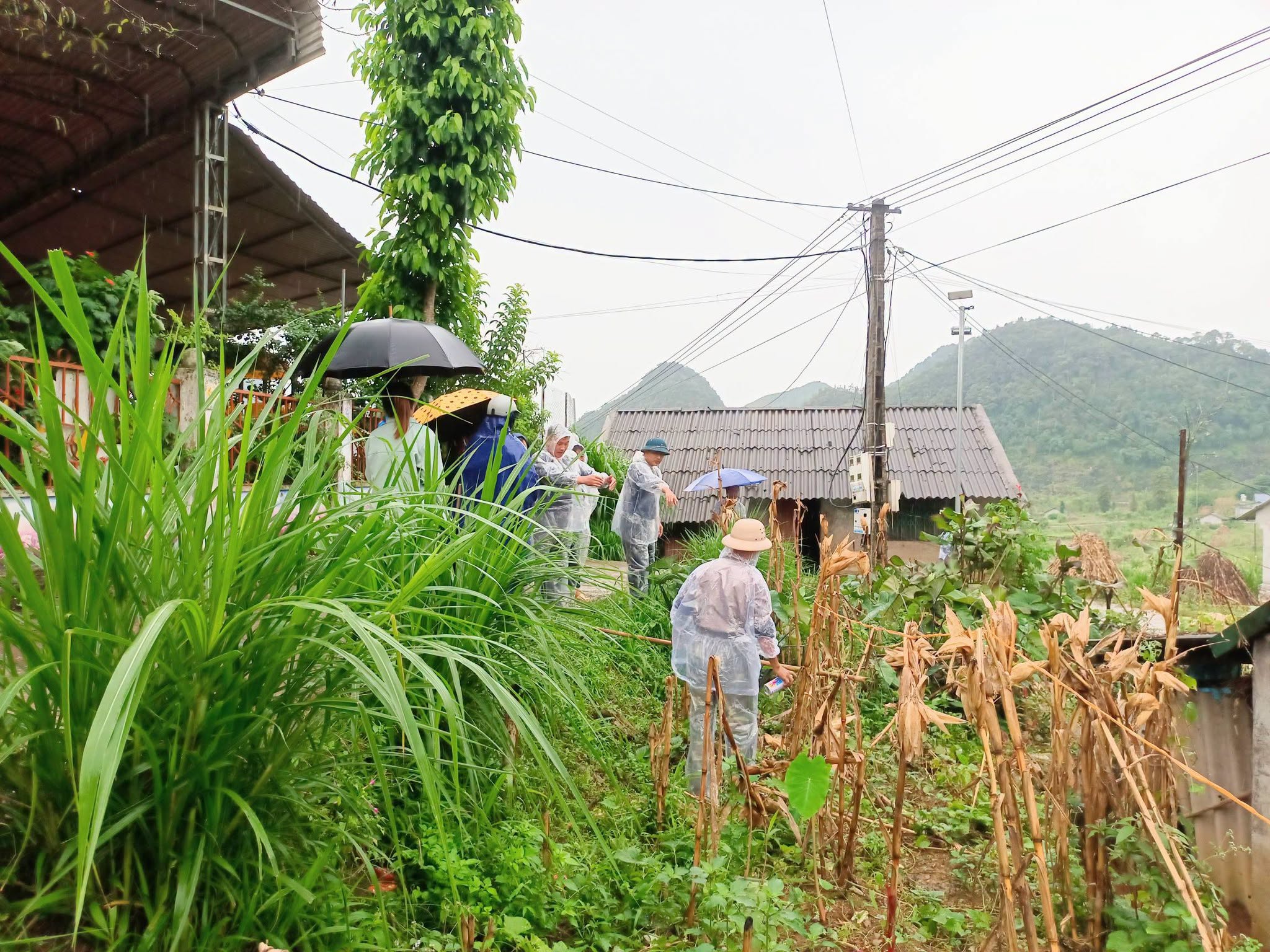 Sẵn sàng mặt bằng triển khai nâng cấp tuyến đường kết nối từ trụ sở UBND xã với Đ-T176