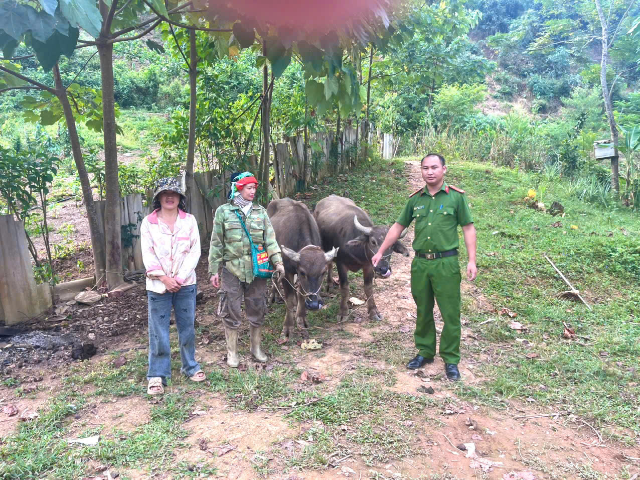  CÔNG AN XÃ NGỌC ĐƯỜNG: KỊP THỜI XÁC MINH, TRAO TRẢ 02 CON TRÂU ĐI LẠC CHO NGƯỜI DÂN 