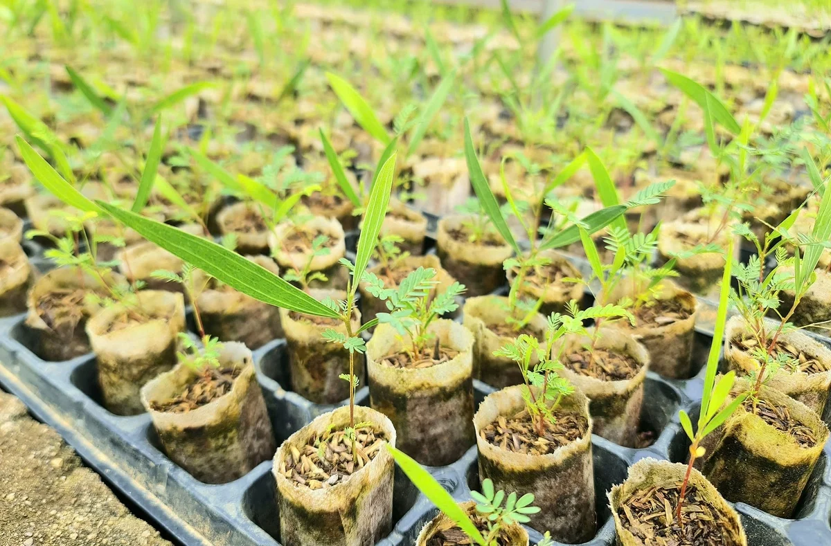 Đẩy mạnh xây dựng hệ sinh thái khởi nghiệp đổi mới sáng tạo đến năm 2030
