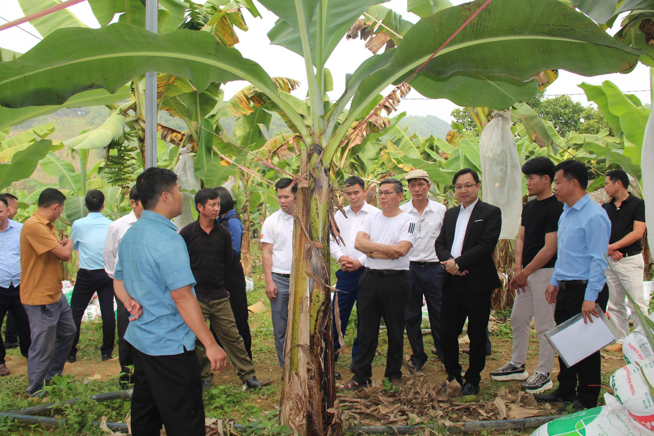 Đoàn công tác xã Lâm Bình học tập, trao đổi kinh nghiệm tại Thành phố Hà Nội và tỉnh Thái Nguyên 
