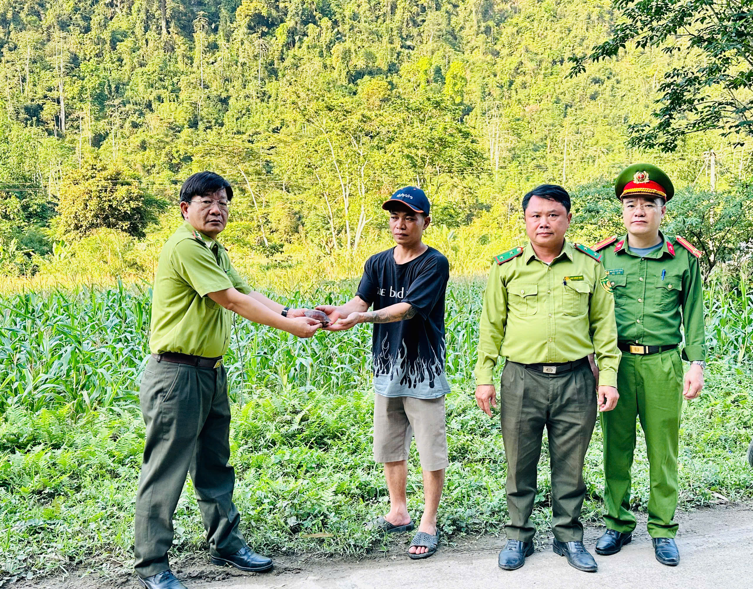 Thả cá thể rùa sa nhân quý hiếm về môi trường tự nhiên