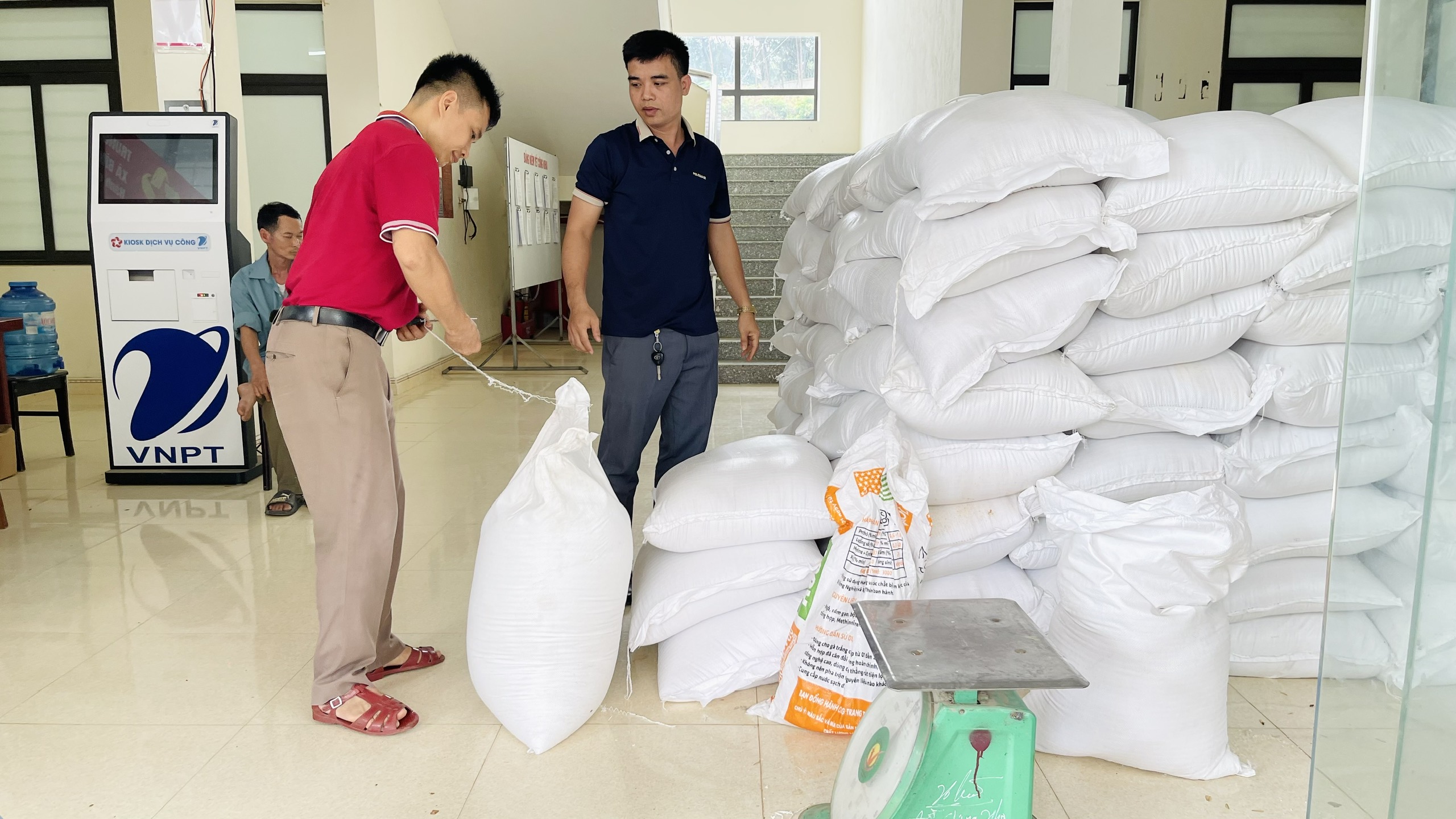 Xã Bình Ca hoàn thành tiếp nhận, cấp phát gạo hỗ trợ nhân dân thiếu đói giáp hạt năm 2026