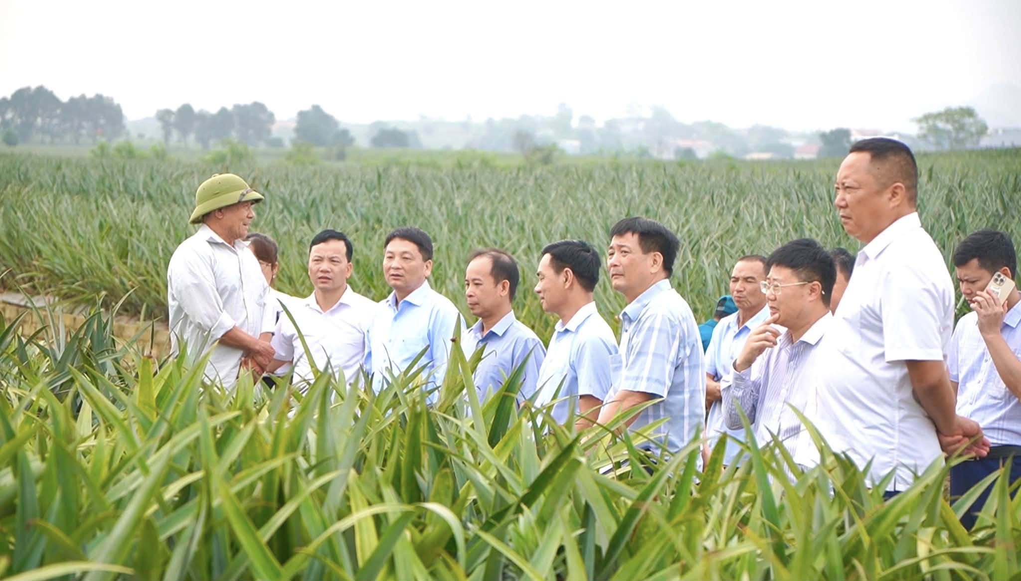 Mở hướng đi mới cho phát triển nông nghiệp bền vững