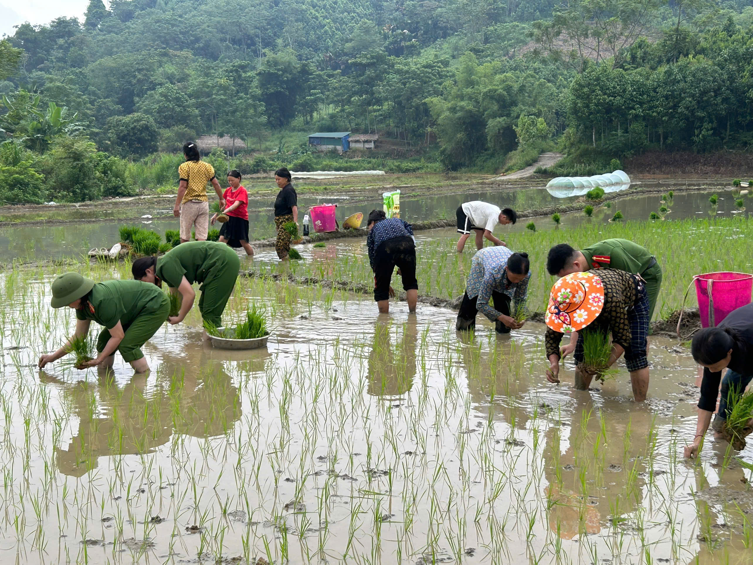 CÔNG AN XÃ YÊN THÀNH CHUNG TAY HỖ TRỢ GIA ĐÌNH CÔNG DÂN TỬ VONG DO THIÊN TAI KHẮC PHỤC KHÓ KHĂN TRONG SẢN XUẤT