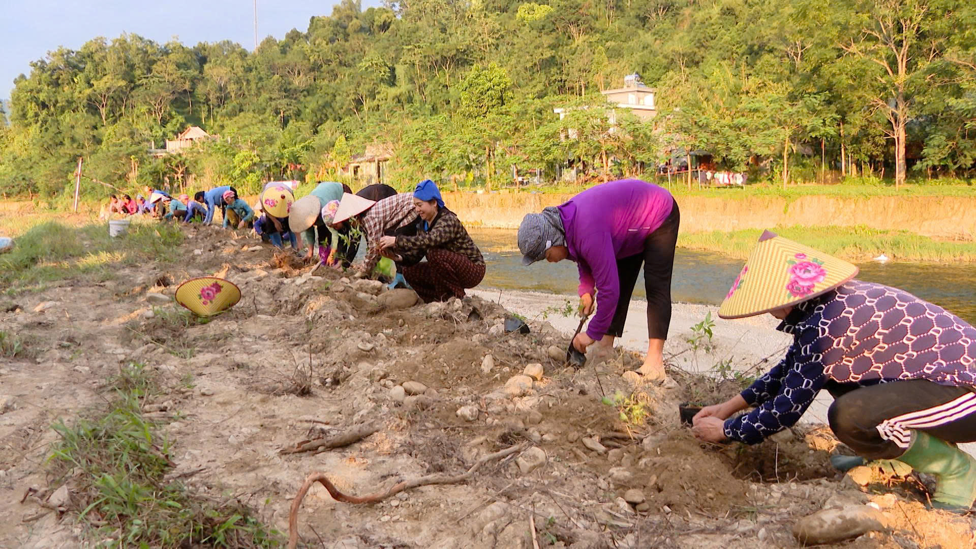 Xã Lâm Bình ra quân vệ sinh môi trường, trồng tuyến đường hoa góp phần phát triển du lịch
